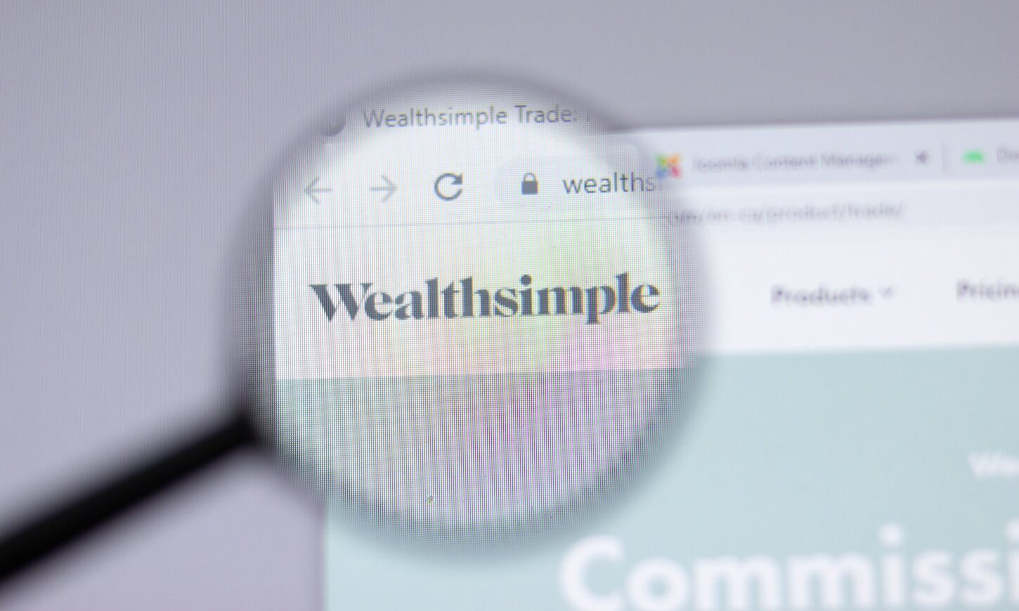 Zooming in on Wealthsimple