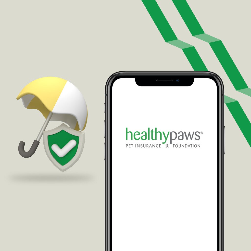 Healthy Paws Review Pet Insurance WealthRocket