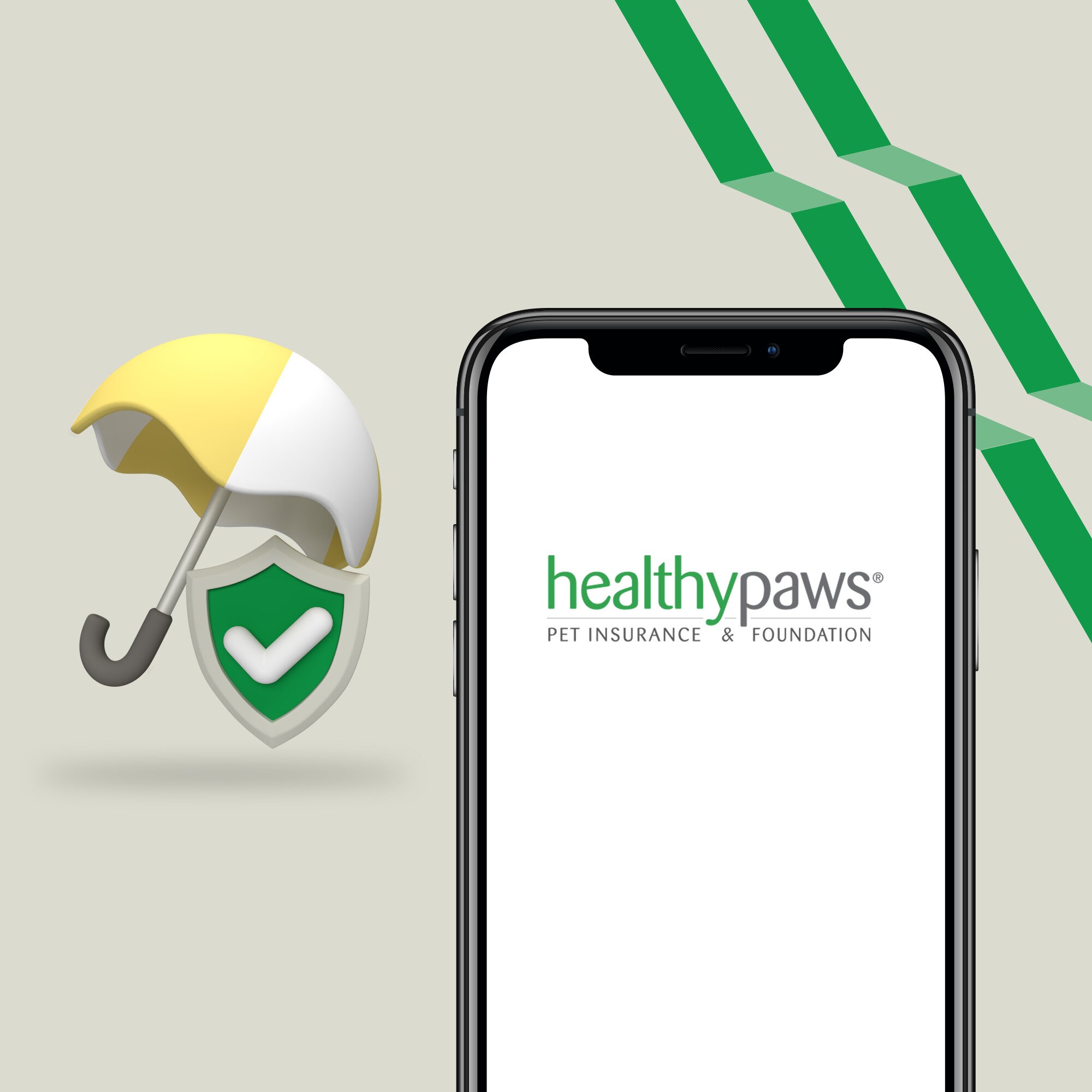 Healthy Paws Review Pet Insurance WealthRocket